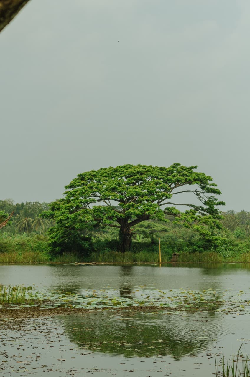 Превью Sri Lanka 2022